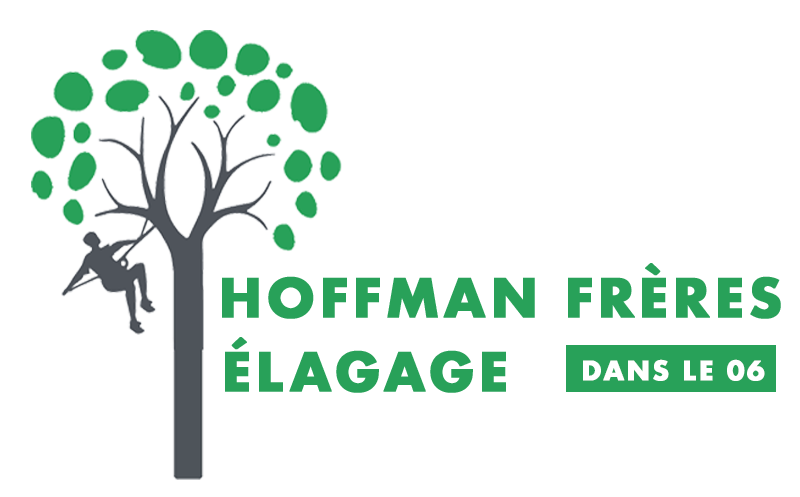Hoffmann Paul elagage 06